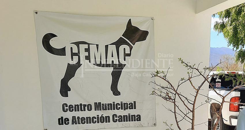 Impiden a regidora Jazmín Ruíz acceder al CEMAC; ahora propone nuevo reglamento