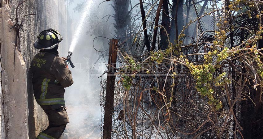 Arrasa con vivienda y carro incendio que inició en una palmera