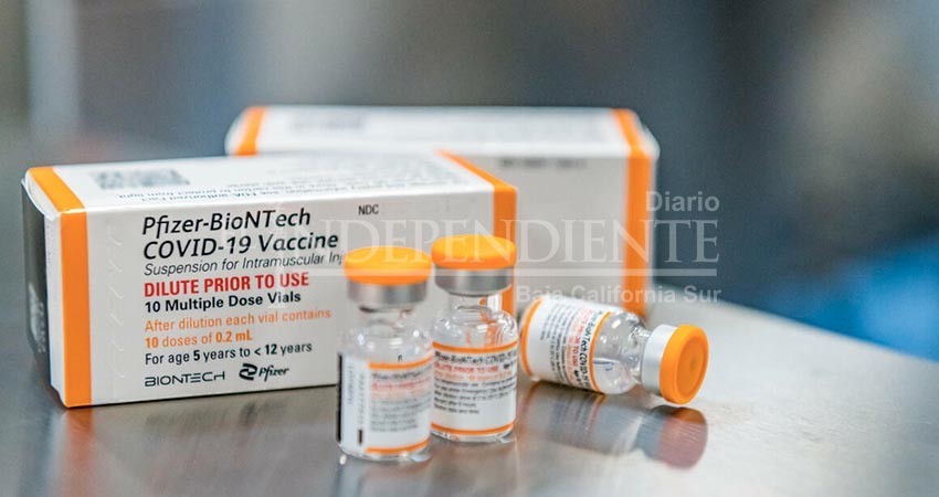 Los laboratorios determinan extensión de caducidad de las vacunas contra Covid-19: SSA