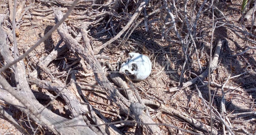 Encuentran restos humanos zona despoblada de La Paz