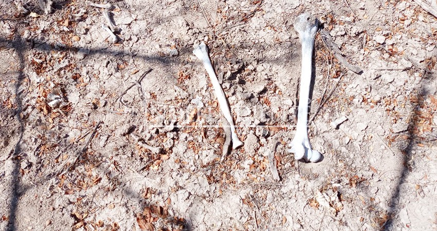 Encuentran restos humanos en zona despoblada de La Paz