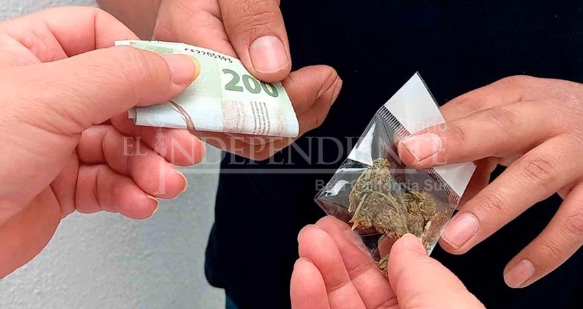 Importante el monitoreo por videocámaras de las zonas turísticas de Los Cabos