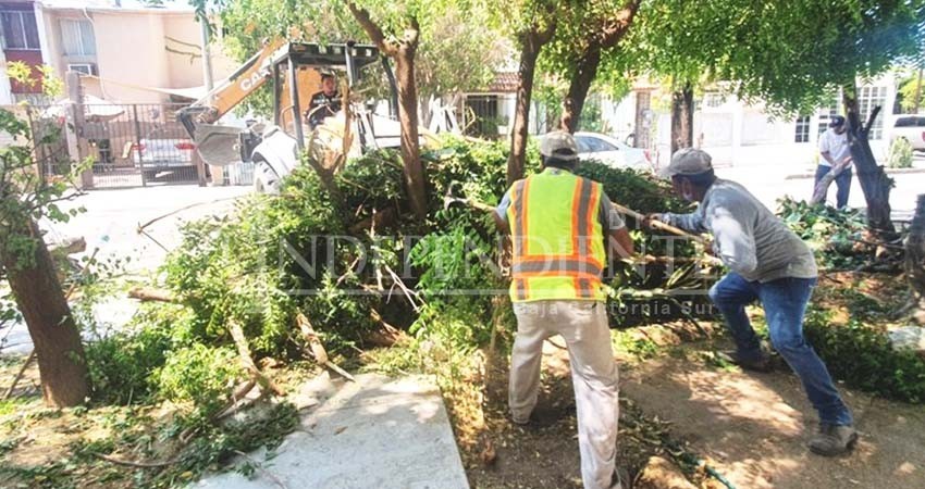 Realiza Servicios Públicos jornada de limpieza en colonia FOVISSSTE