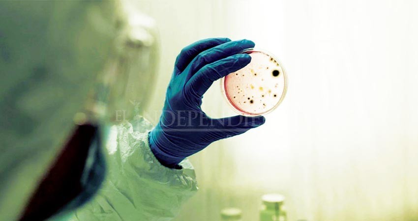 Detectan 3 casos sospechosos de cólera en La Paz