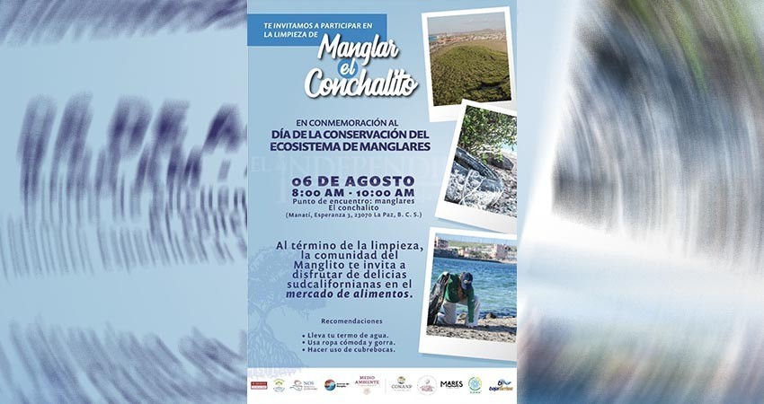 Guardianas del Conchalito celebrarán Día Internacional del Manglar con limpieza