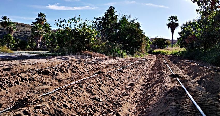Gobierno estatal apoyará 36 proyectos de infraestructura hidroagrícola