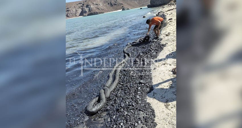 Playa Balandra enfrenta una catástrofe ambiental: CEMDA