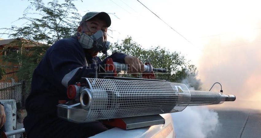 Emprende salud un ciclo preventivo de fumigación contra el mosco transmisor de dengue