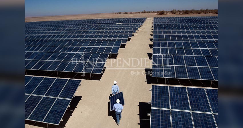 BCS será la primera "Isla Verde" en México, proyecta CERCA