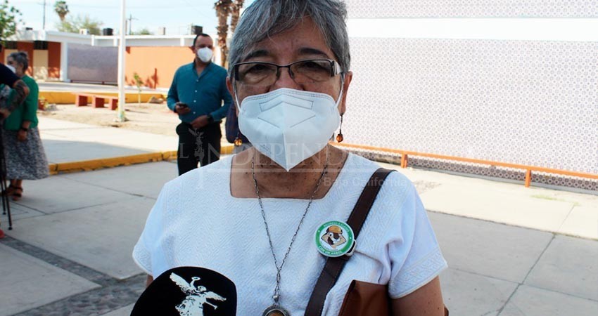 Podría el Senado dotar de autonomía a la UPN con nuevos estatutos