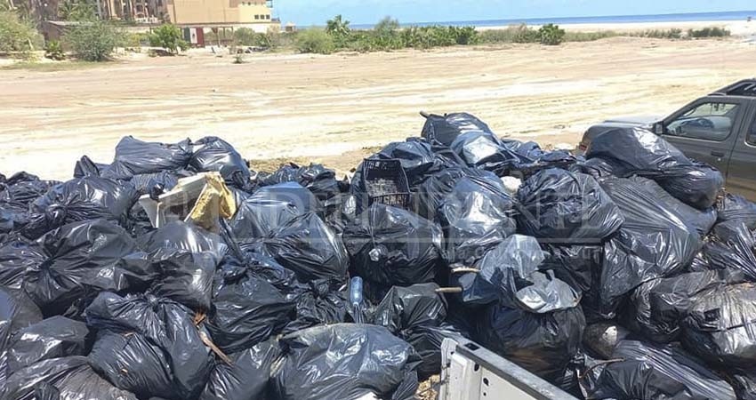 Retira Zofemat Los Cabos más de 30 toneladas de residuos en playas y zonas adyacentes tras el paso de “Javier”