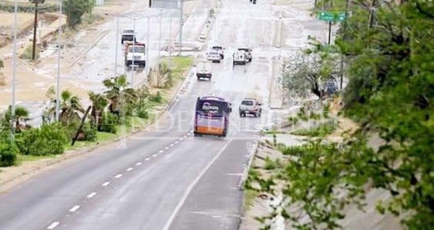 Suspenden servicio de transporte público en Los Cabos