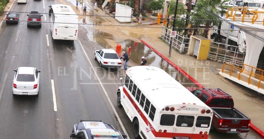 Transporte urbano y colectivo Los Cabos restablece el servicio