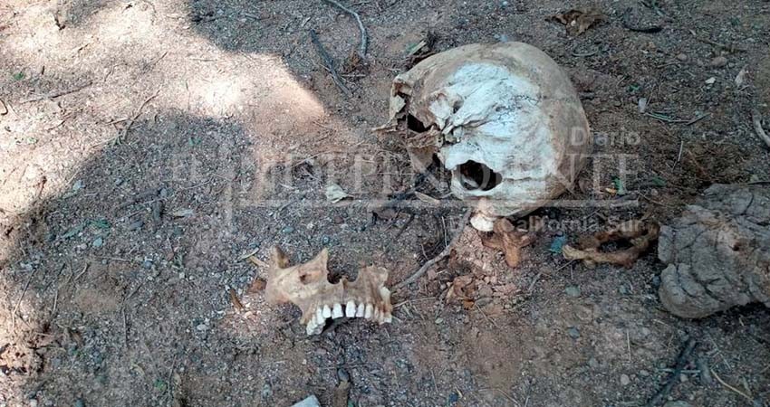 Inician investigación por localización de una osamenta en CSL