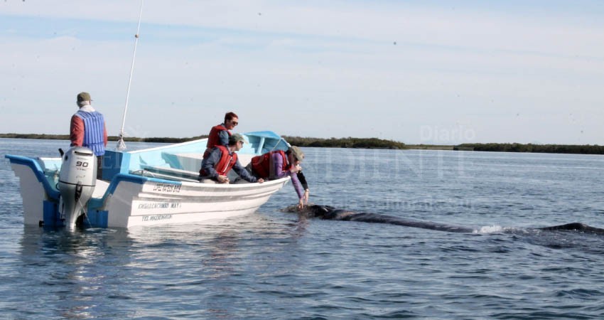 Brindarán capacitación a prestadores de servicios Turísticos de Puerto Chale