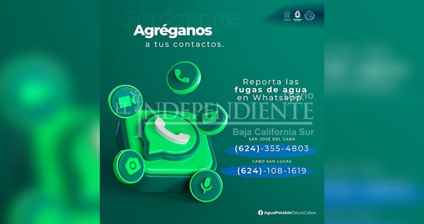 Habilita Oomsapas Los Cabos números de whatsApp para reportar fugas