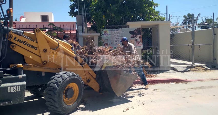 Avanza rehabilitación de calles en Los Cabos tras afectación por lluvias