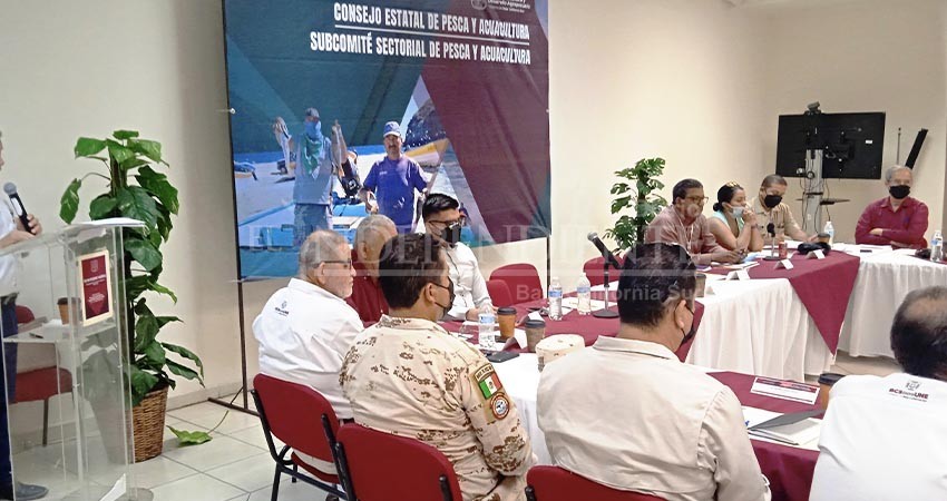 Sesiona subcomité sectorial de pesca y acuacultura de BCS
