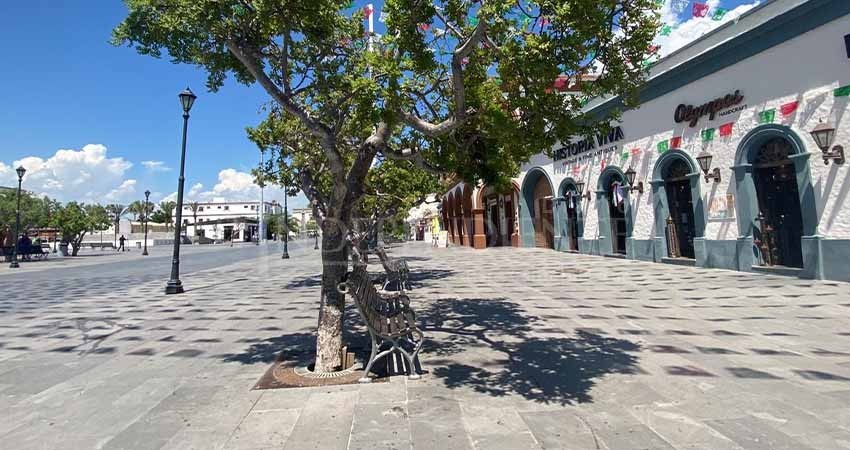 Centro Histórico de SJC tendrá un cambio mediante su reforestación
