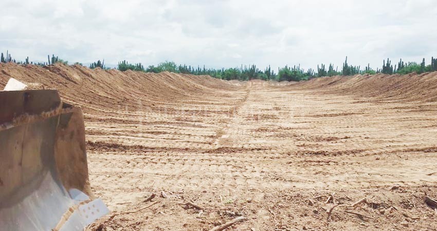 Realizan nueva trinchera para residuos sólidos en El Sargento