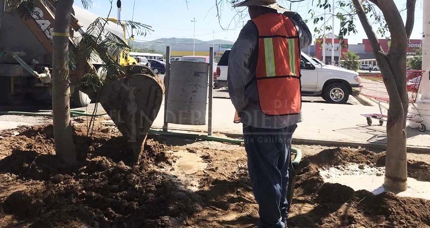 Dirección de Transporte Los Cabos en busca de mejorar la infraestructura del transporte público