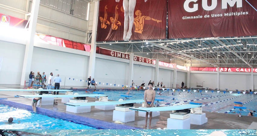 Superan expectativas clavadistas Sudcalifornianos en  el clasificatorio mundialista