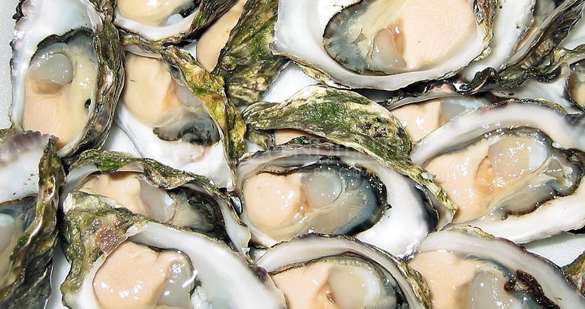 BCS es líder mundial en producción acuícola de ostión y abulón: Sepada