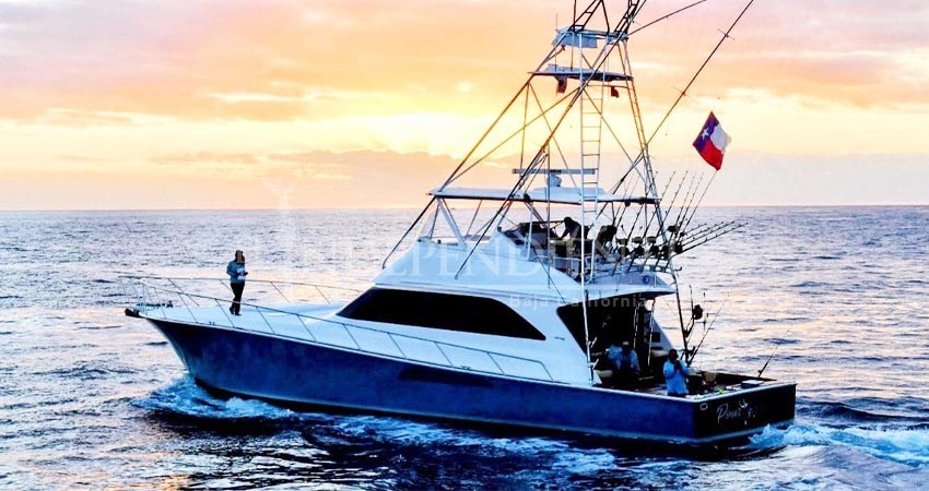 Los Cabos Billfish Tournament 2022 arrancó con la participación de 54 equipos