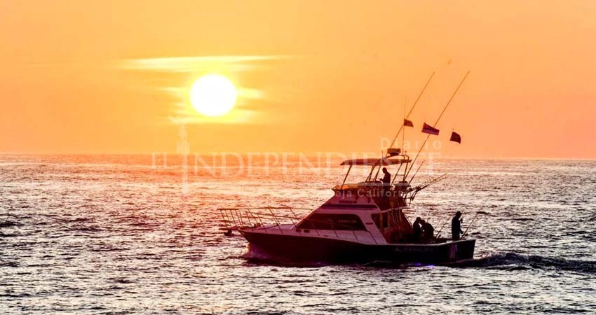 Arranca torneo de pesca Los Cabos Offshore en su edición número 24