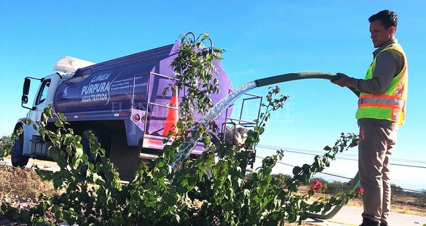 Campos deportivos, parques y bulevares de La Paz son regados con la pipa púrpura