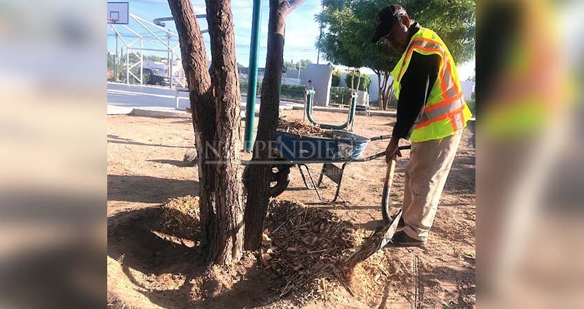 Aplica Servicios Públicos 250 kilos de mulch en el Parque “El Pescador”