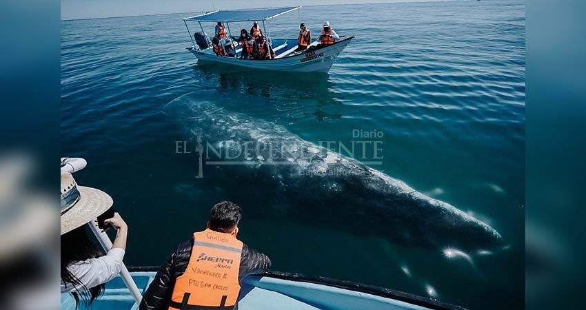 Presentan Plan Piloto de Seguridad en la comunidad de Puerto Chale