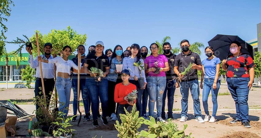 Gobierno de BCS ha donado más de 15 mil plantas frutales y de ornato a instituciones