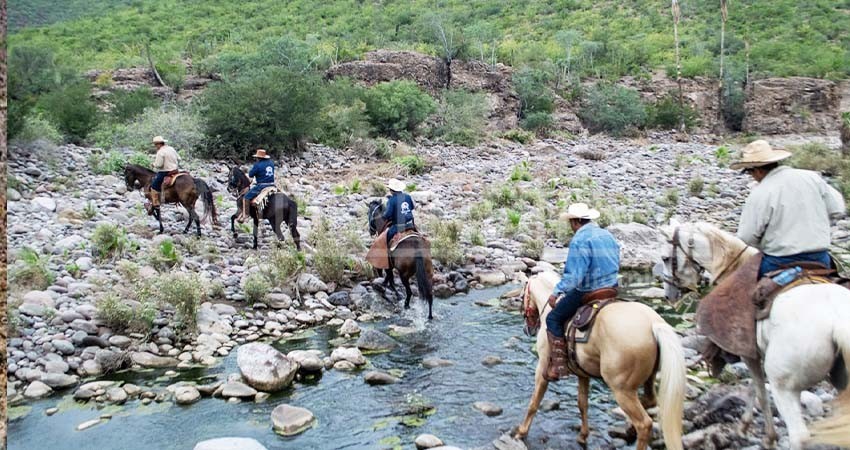 Turismo rural de BCS en crecimiento: Turismo