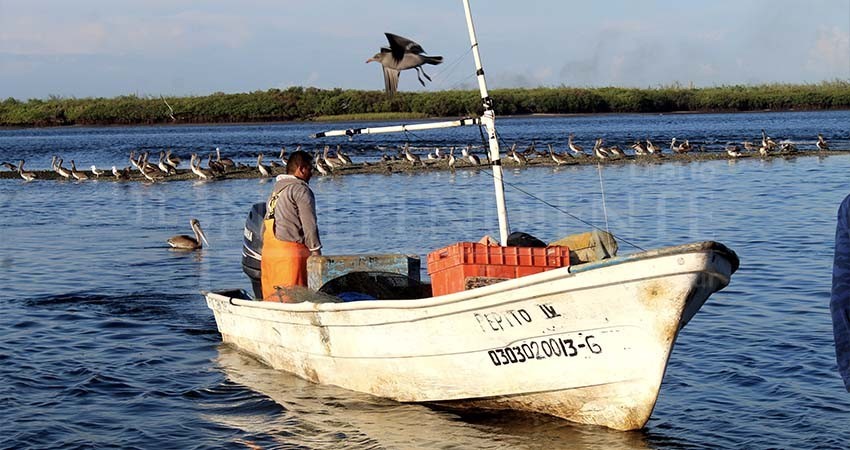 Arranca el programa estatal de ordenamiento pesquero y acuícola