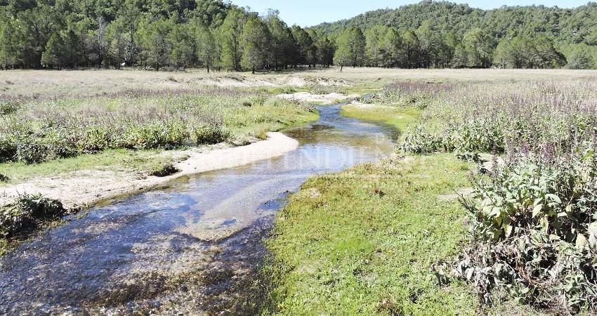 Arranca operativo de Protección Civil para el ascenso a la Sierra La Laguna