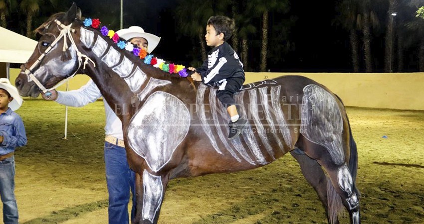 100 niñas, niños y adolescentes con discapacidad han sido beneficiados con el programa gratuito de equinoterapias del DIF Los Cabos