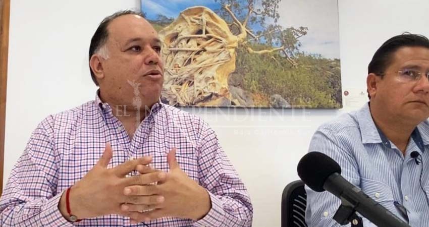 Reforma laboral dio a BCS resultados favorables: Secretaría de Trabajo