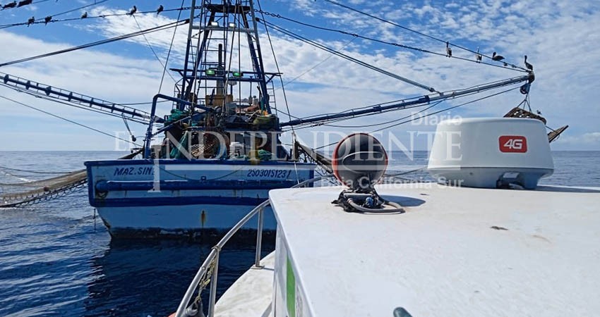 Verifica FONMAR excluidores de tortugas en barcos camaroneros