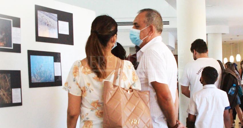 UABCS invita a su Festival de las Artes 2022