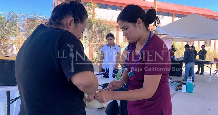 Realiza CEMAC campaña de esterilización en la colonia Márquez de León