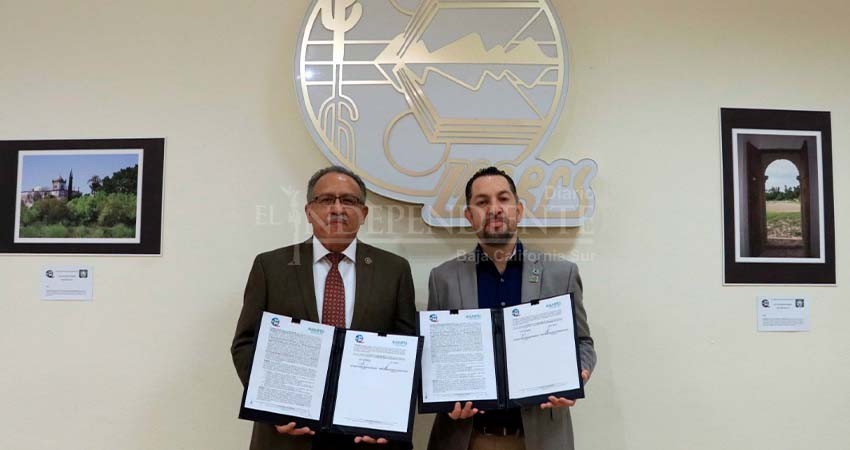Firman acuerdo UABCS y AMPEI en materia de educación internacional