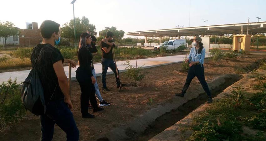 ¿Conoces las zanjas de infiltración de agua? UABCS opera este tipo de obras