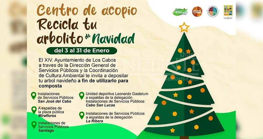 Invitan a la población cabeña a llevar sus árboles de navidad a los centros de acopio