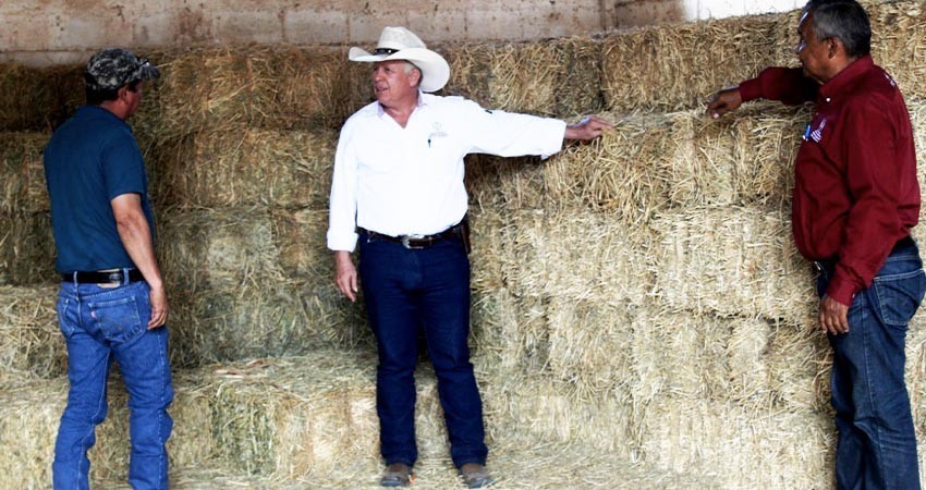 Organización y justicia social, base de la transformación de sectores productivos