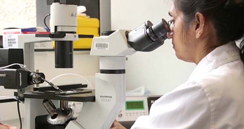 A través de la Wolbachia se ha logrado contener el dengue en La Paz: SSA