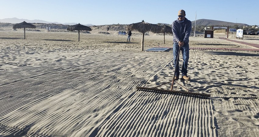 Ayuntamiento de Los Cabos mantiene en óptimas condiciones las playas de Los Cabos