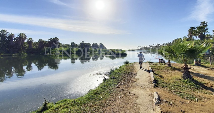 Indaga Ecología municipal sobre personas que viven en el Estero josefino