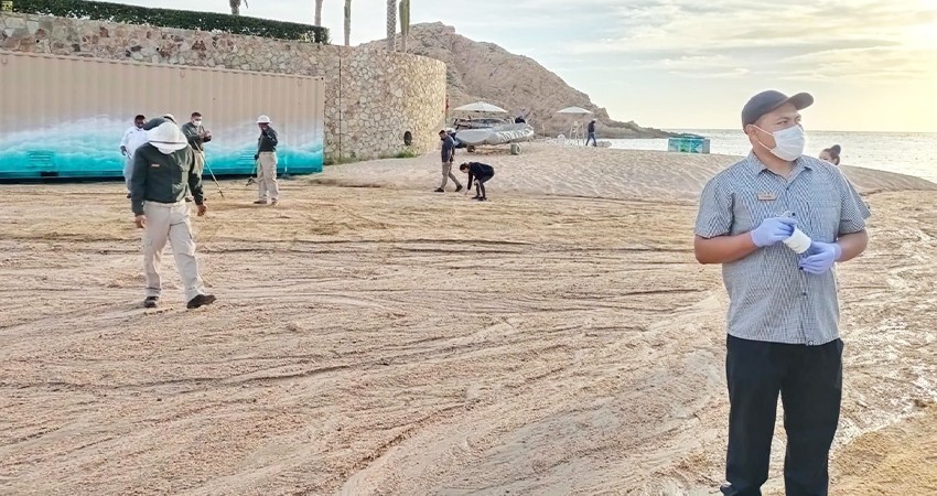 Ayuntamiento Los Cabos refuerza la limpieza de playas y litorales en CSL