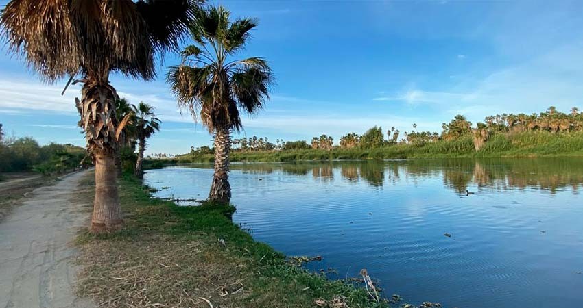 En el Día Mundial del Humedal, realizan actividades para conservar al Estero Josefino